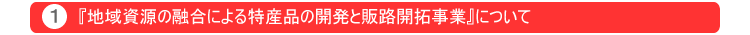 地域資源の融合による特産品の開発と販路開拓事業について